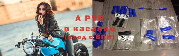 apvp Верея