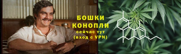 apvp Верея