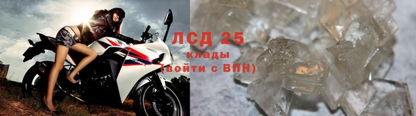 apvp Верея