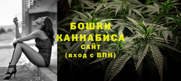 apvp Верея
