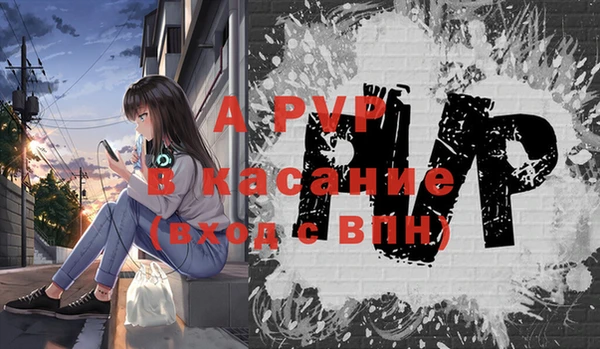 apvp Верея
